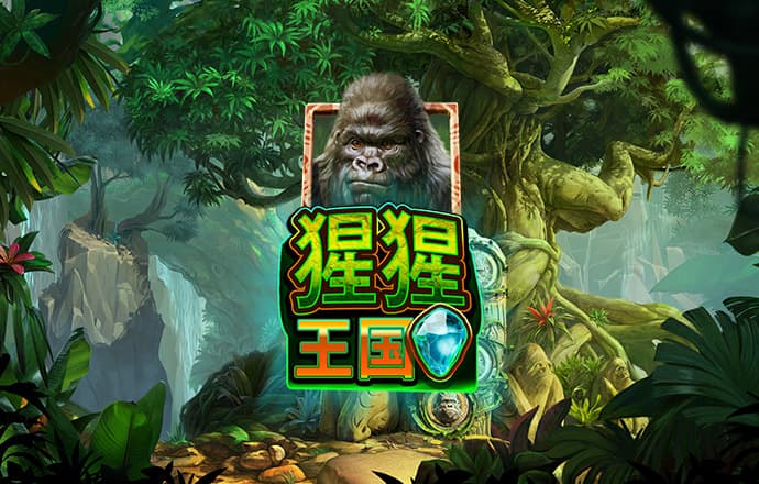 998娱乐官方正版app